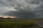 IMG 4215-01