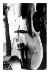 Still Life in D Minor I