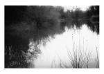 Reflections
