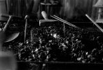 Blacksmith 3
Plus X