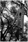 March 27 '03 - Restland Mem.