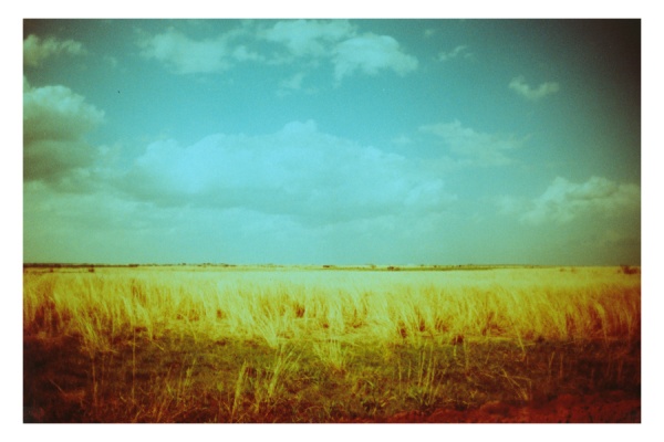 Early Morning Dreams II