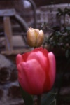 img050
