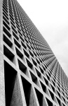 Dallas, TX
Digital