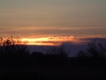 Sunrise
Digital