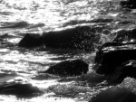 Grapevine Lake
Digital