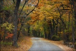 Ft. Worth Nature Reserve
