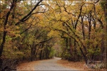 Ft. Worth Nature Reserve