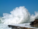 Ocean Fury
Digital