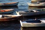 Boats
Digital