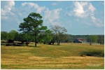 Towards Tyler, TX