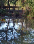 Caldwell Zoo - Tyler, TX