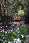 Caldwell Zoo - Tyler, TX