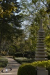 Japanese Gardens
Fort Worth, Texas