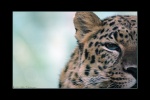 Caldwell Zoo, Tyler, Texas