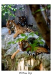 Fort Worth Zoo, Fort Worth, Texas