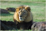 Caldwell Zoo - Tyler, TX