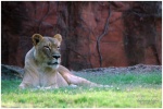 Caldwell Zoo - Tyler, TX