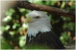 Caldwell Zoo - Tyler, TX