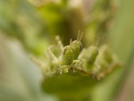 20070524-P5244370