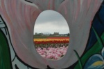 DSC 0053