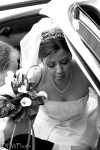 Highlight for Album: Weddings